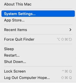 Select System Settings (or System Preferences on older macOS versions).