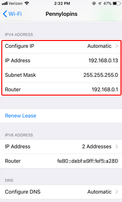 Scroll down to the "IPv4 Address" section. Your IP Address is listed there.